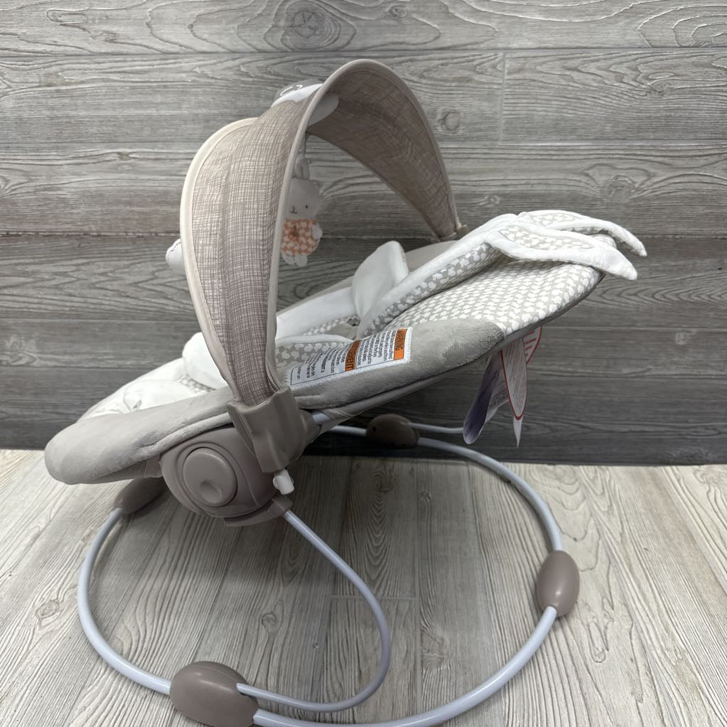 NEW Twinkle Tails Bouncer