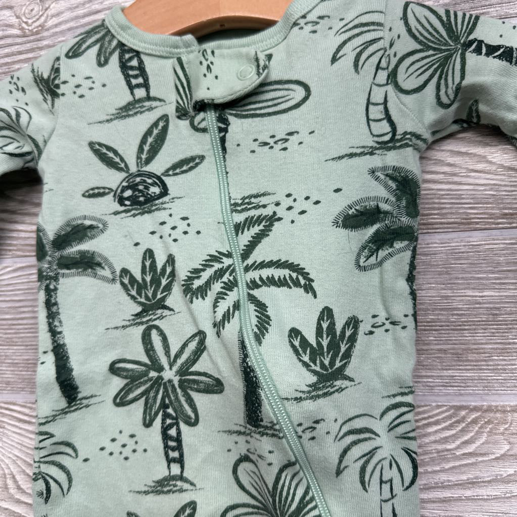 Organic Sleeper Palm Trees NB