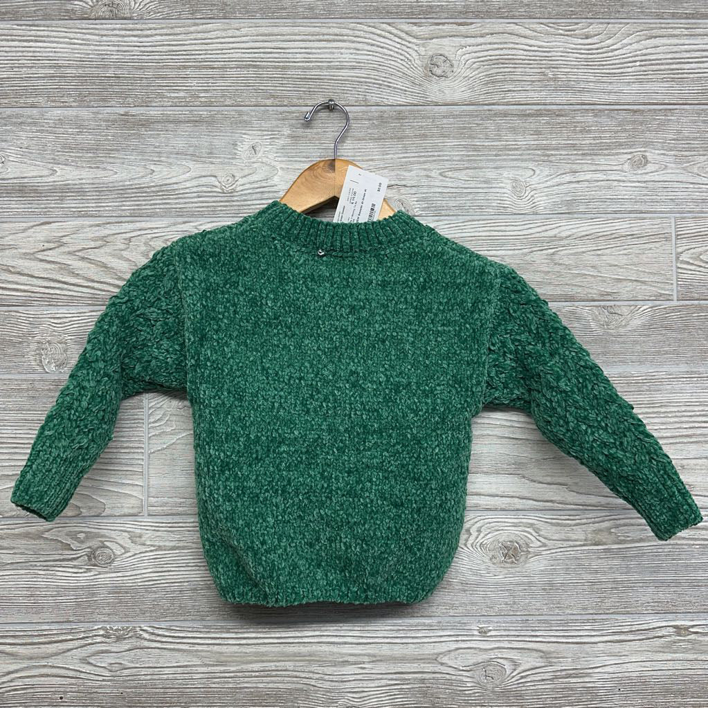 NEW Sweater 4t