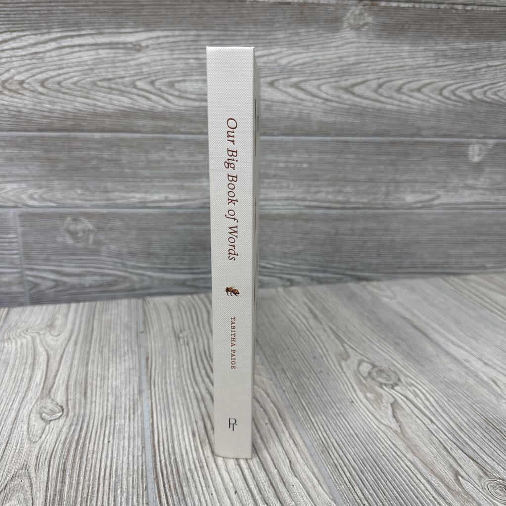 Our Big Book Of Words Board Book