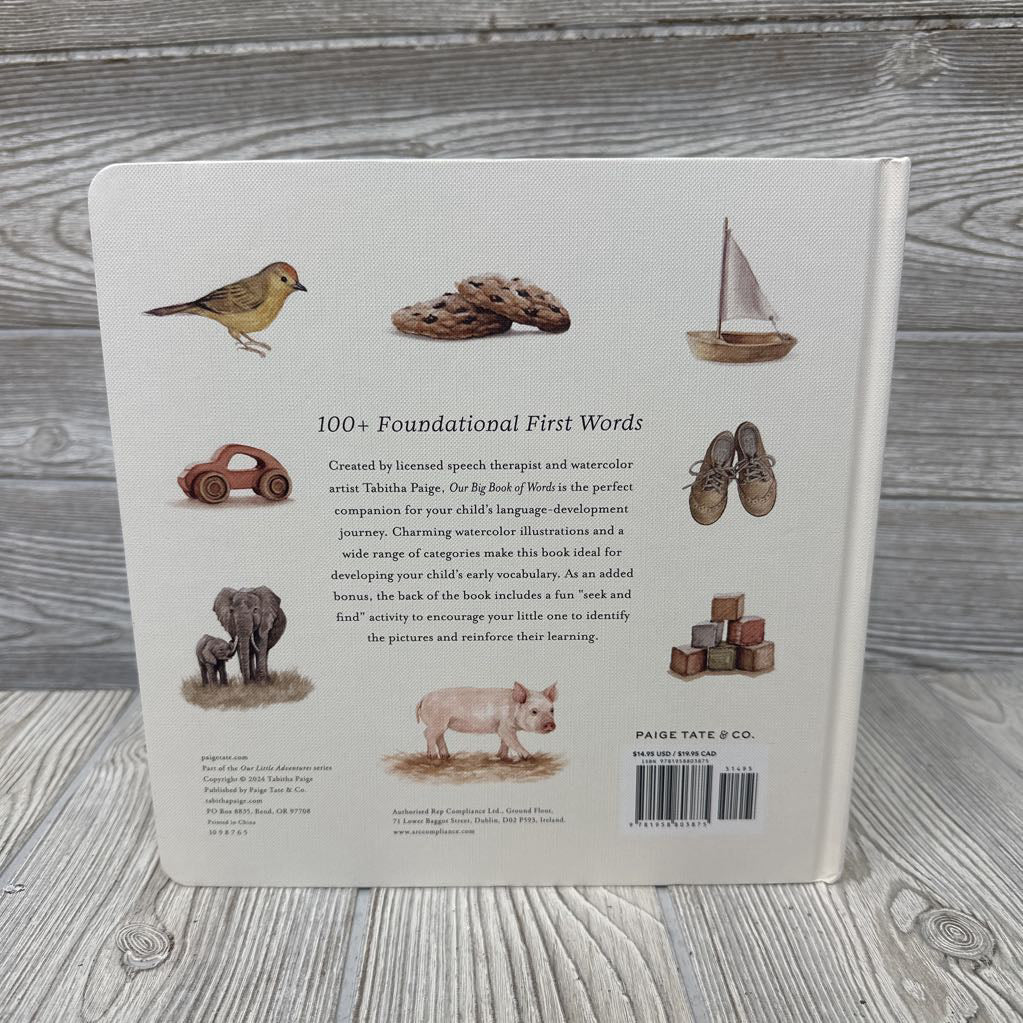 Our Big Book Of Words Board Book