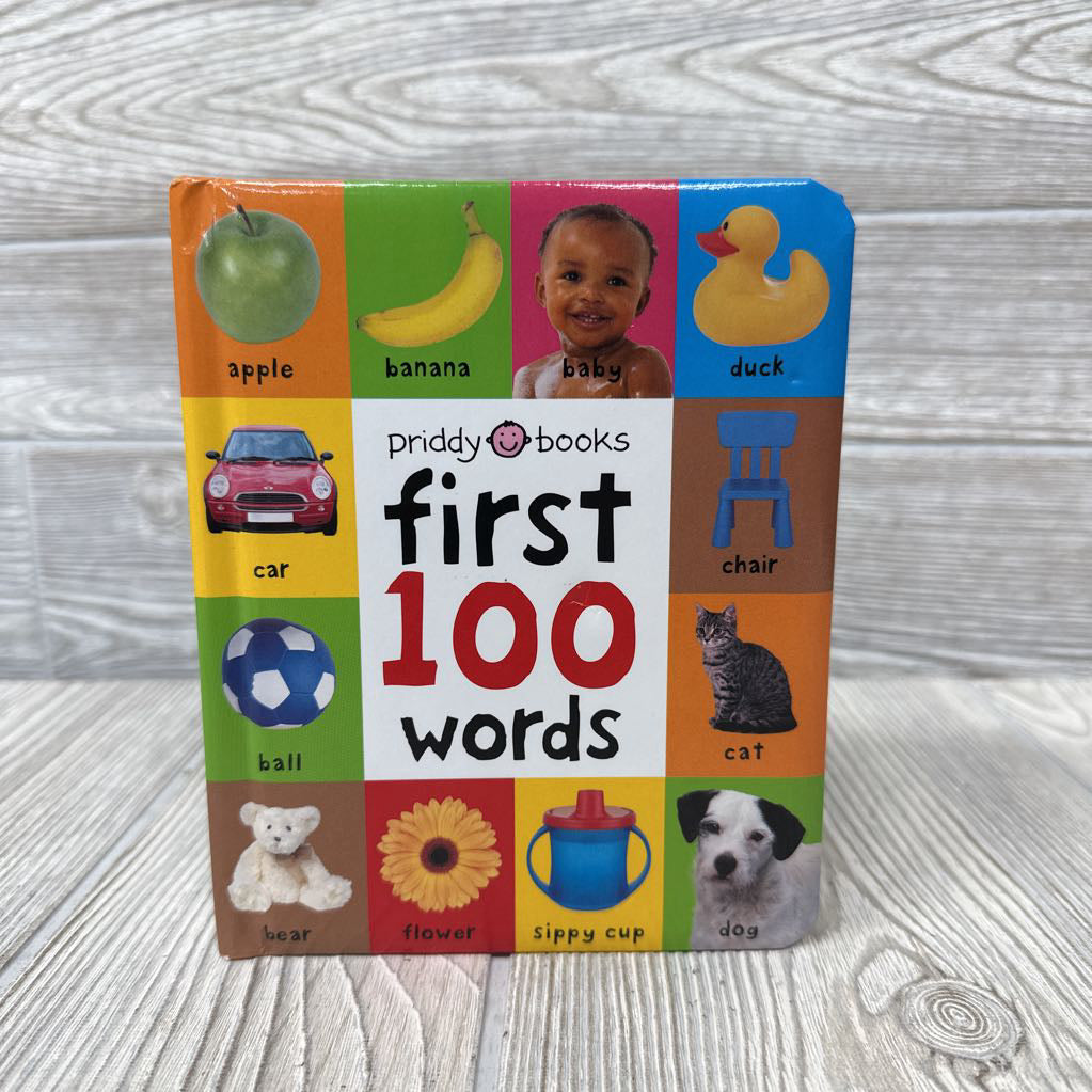 First 100 Words Board Book