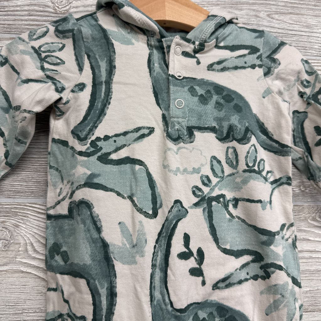 Outfit Dinosaurs 6M
