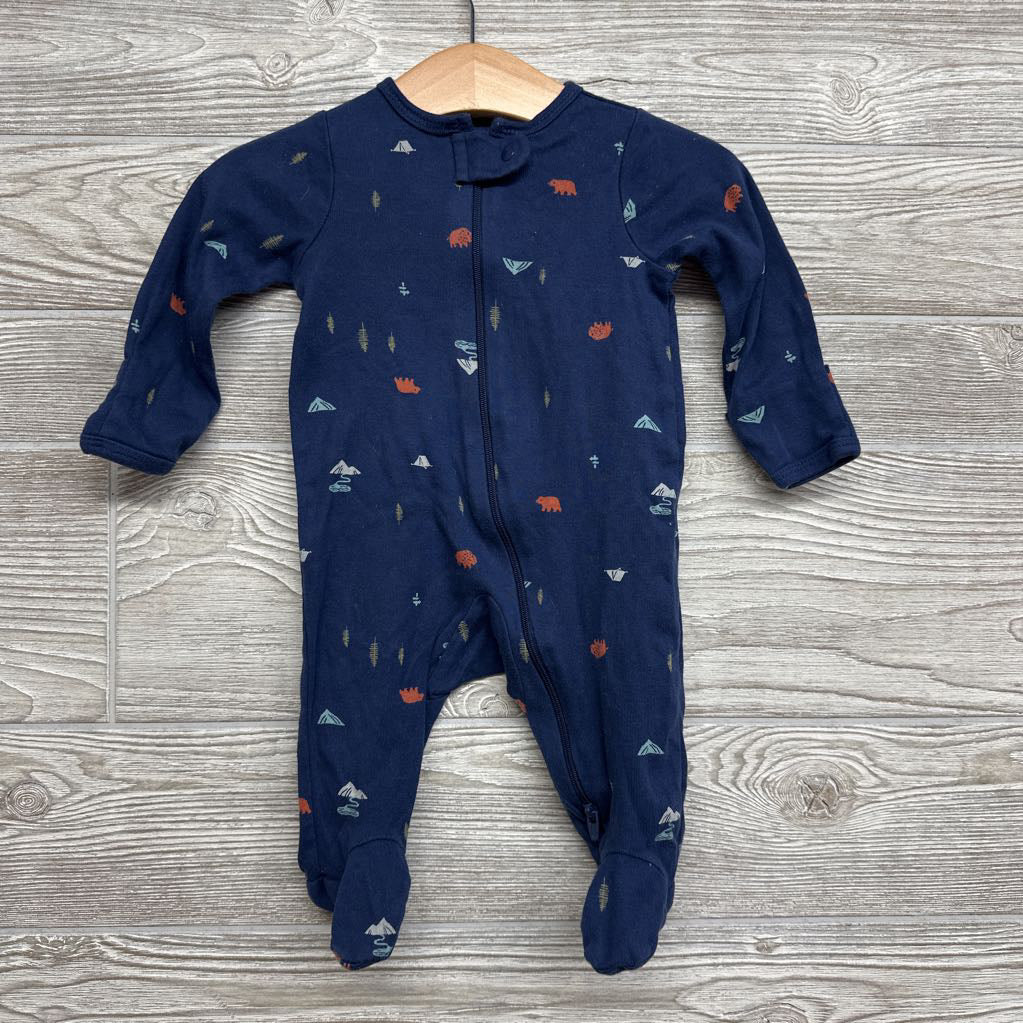 Sleeper Mountains, Bears, Buffalo 3M
