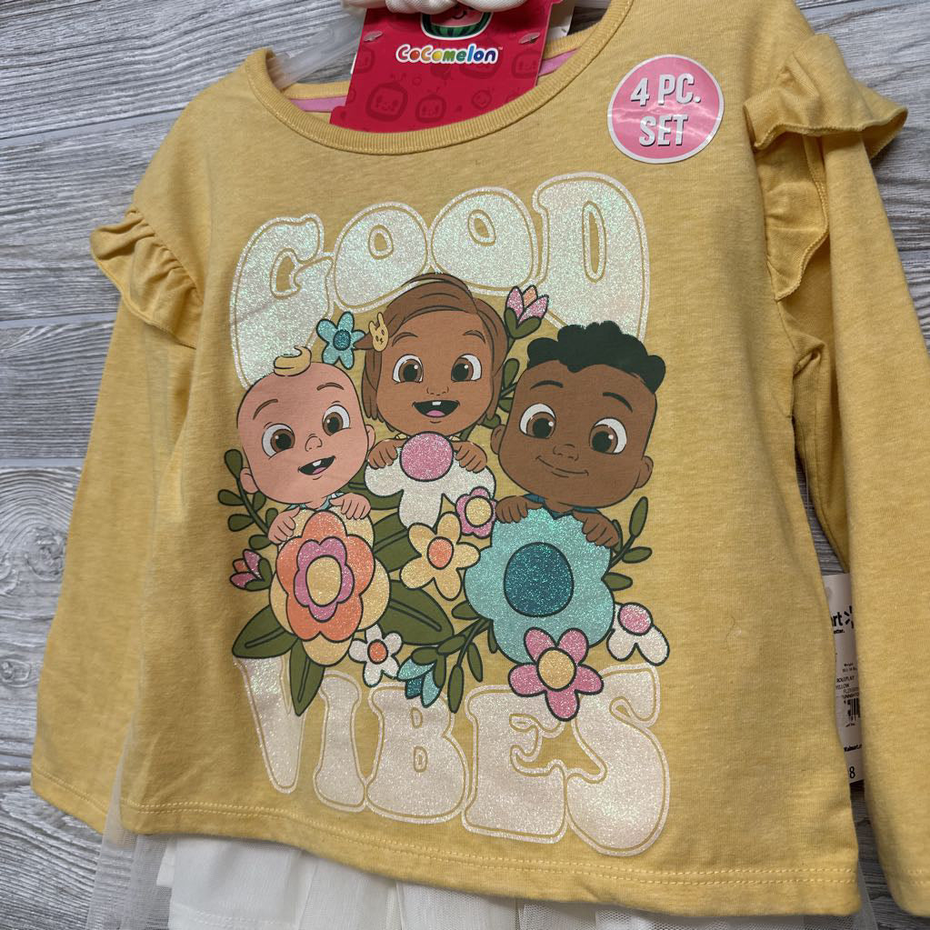 NEW 4 Pc Shirt, Skirt, Leggings & Hear Tie 3t