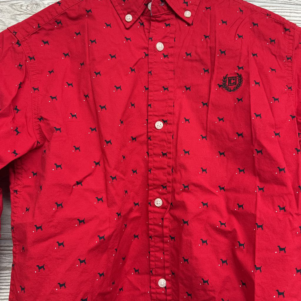 Button Up Dress Shirt Dogs 10-12