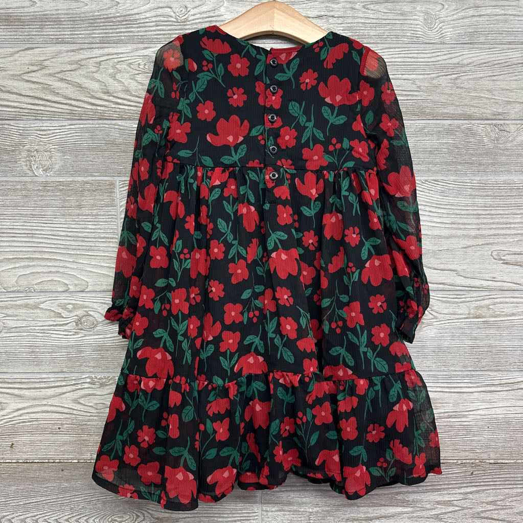 Sheer Dress Flowers 5t