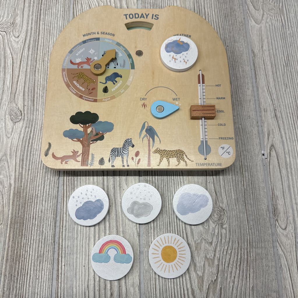 Montessori Wooden Weather Station