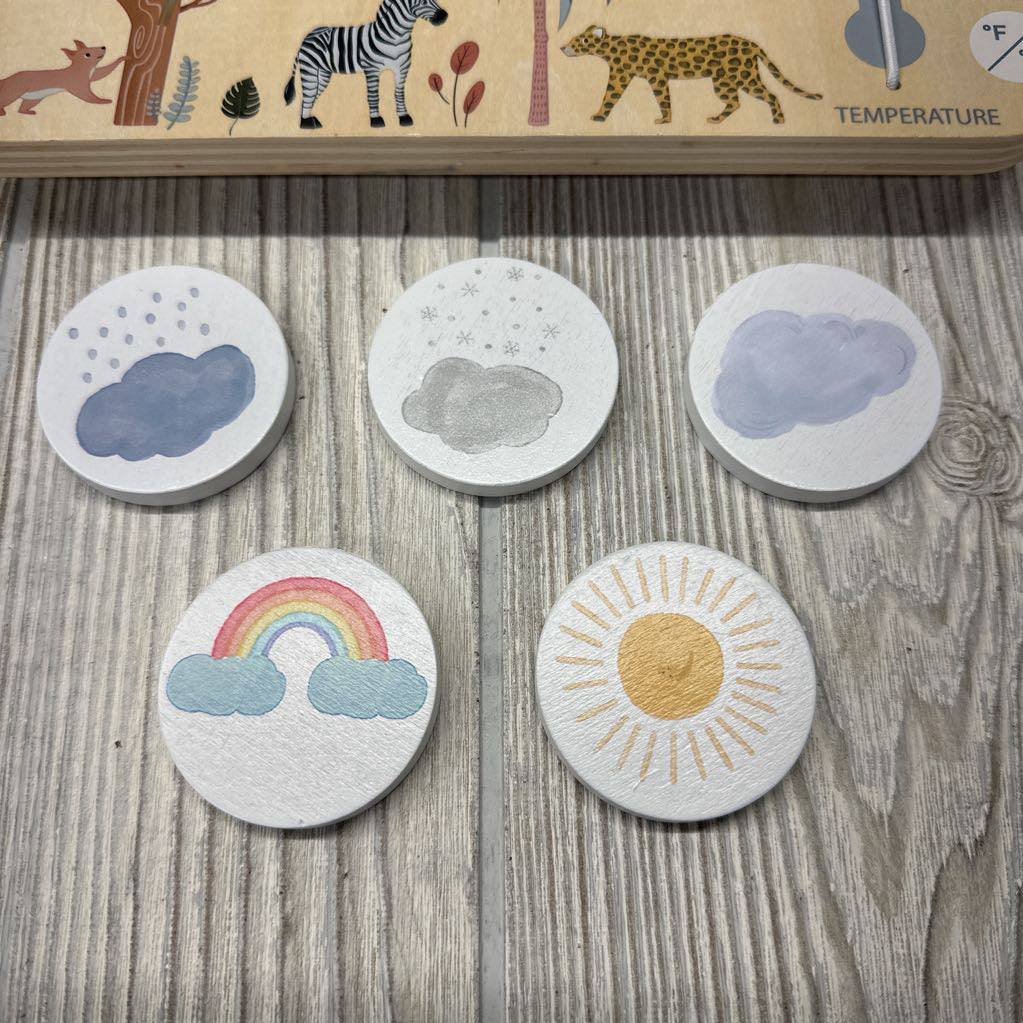 Montessori Wooden Weather Station
