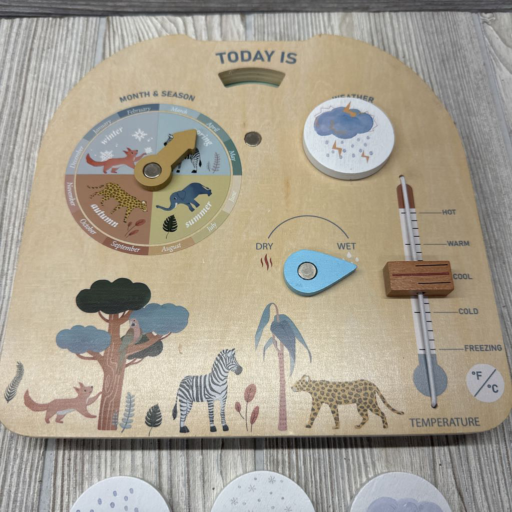 Montessori Wooden Weather Station