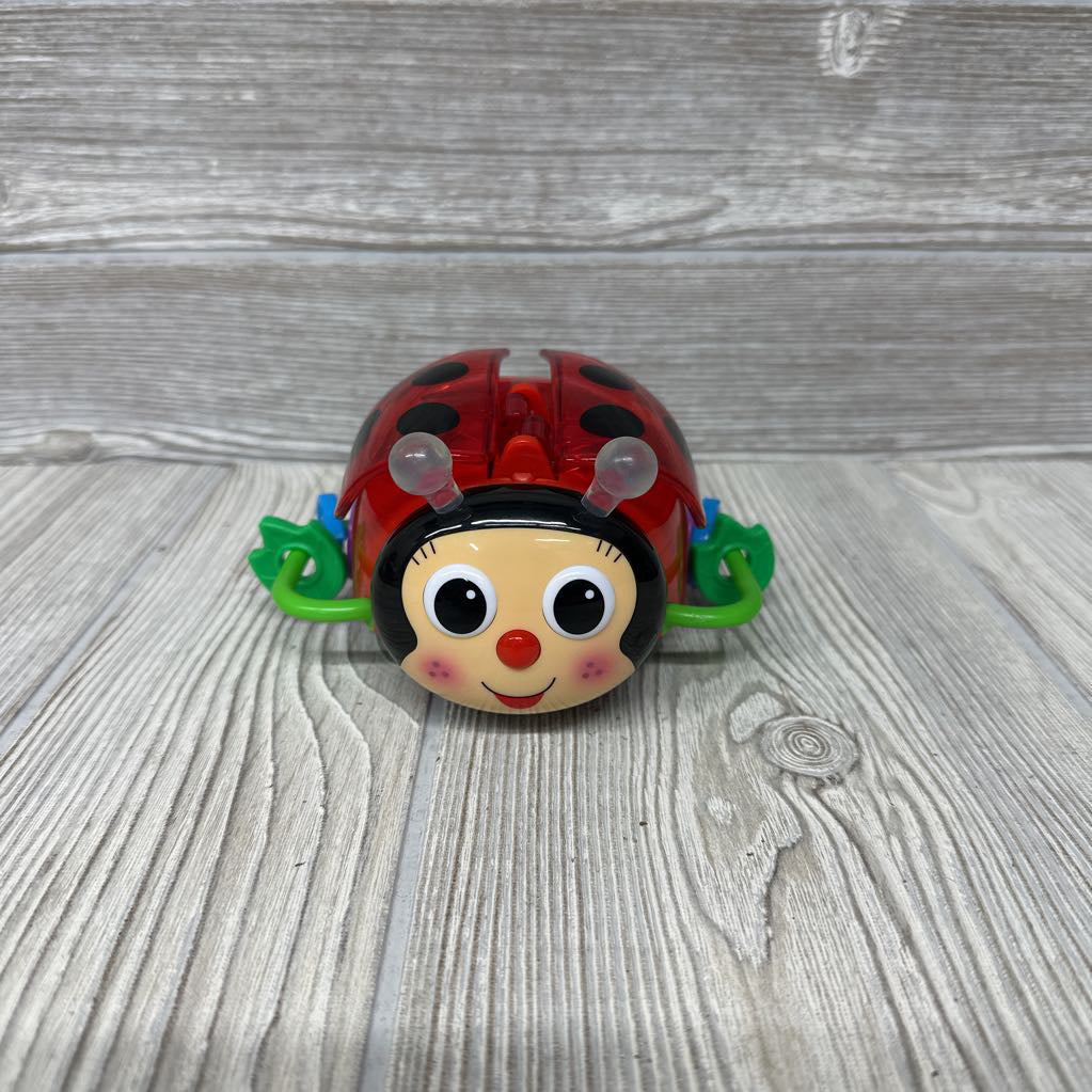 Crawl About Ladybug