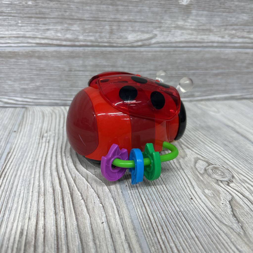 Crawl About Ladybug