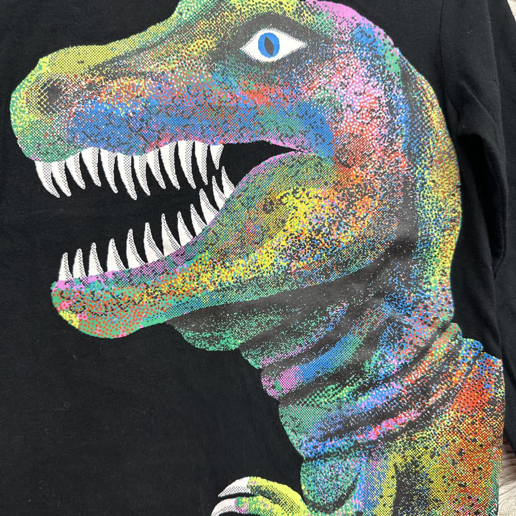 Shirt Dinosaur 4t