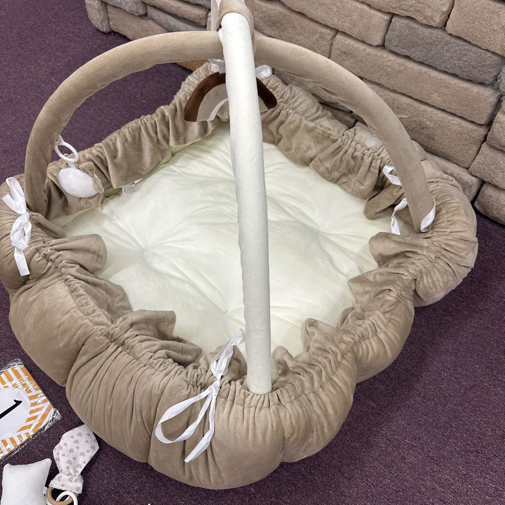 Thick Plush Activity Gym