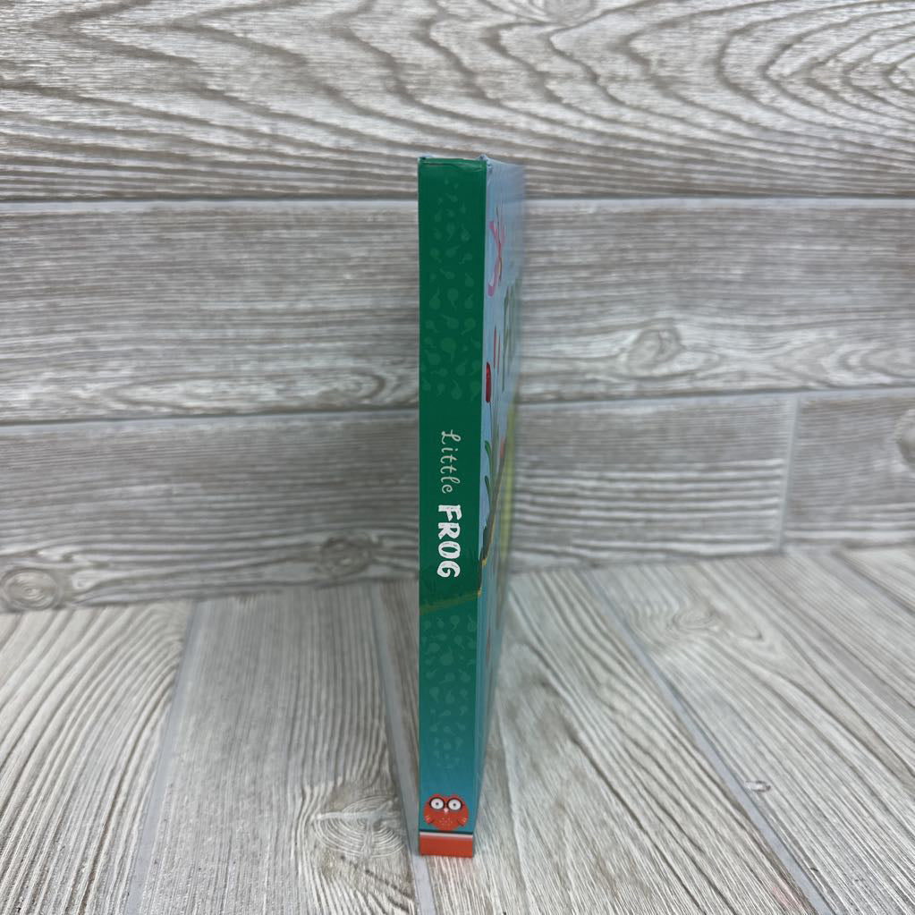 Little Frog Board Book
