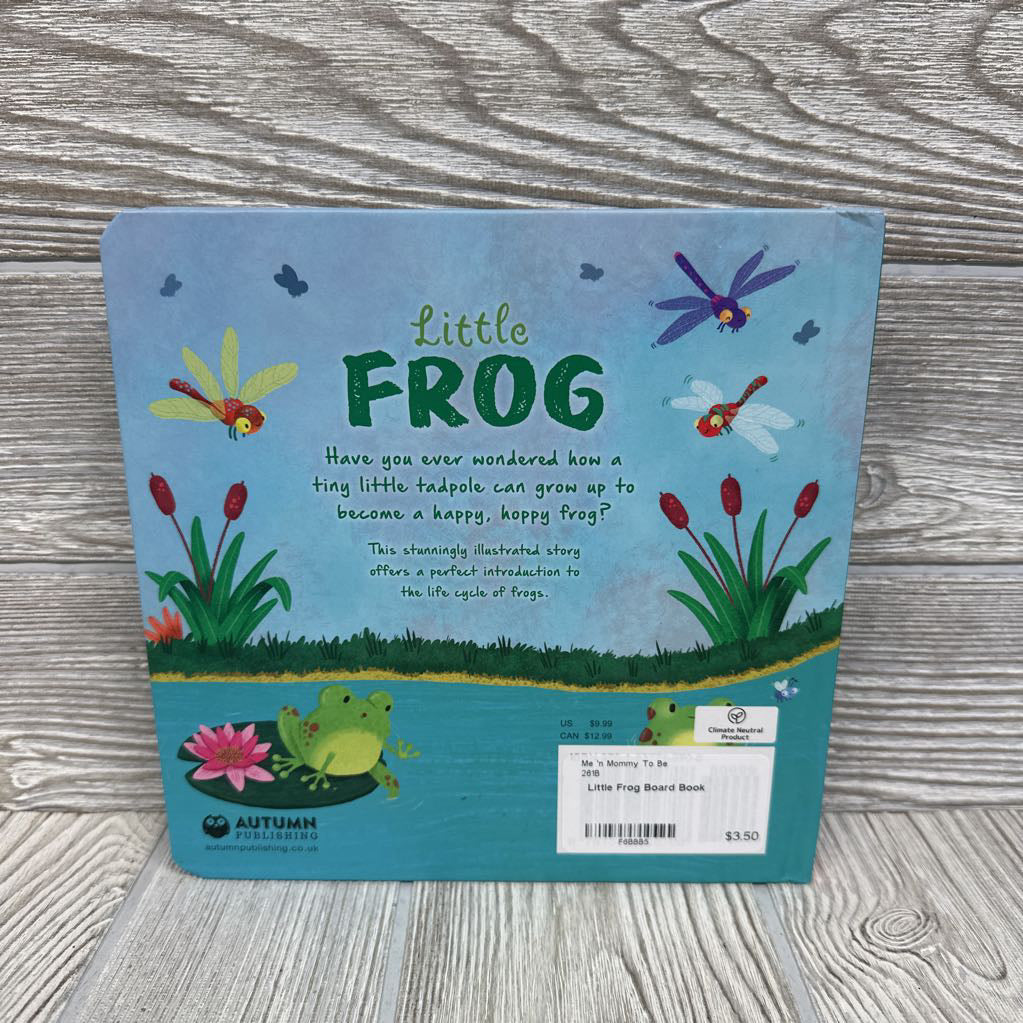 Little Frog Board Book
