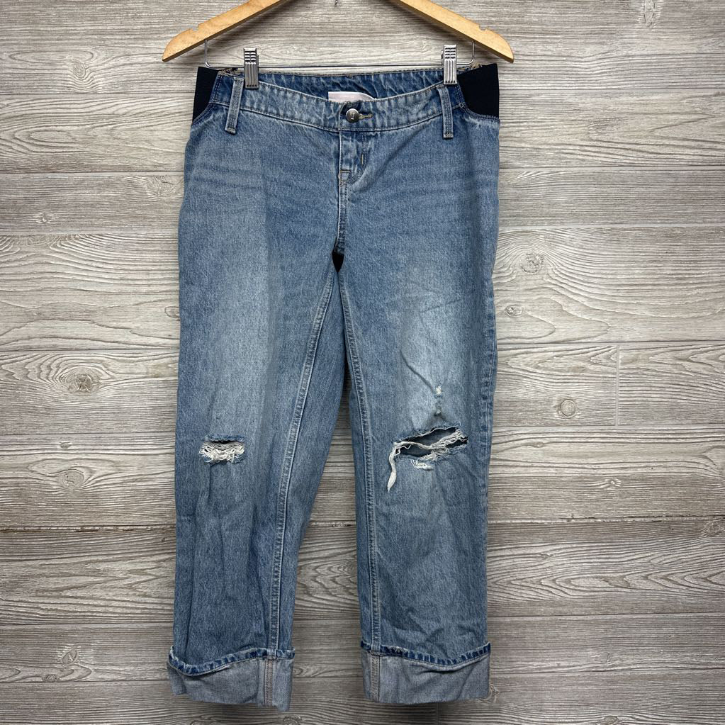 Cropped Vintage Straight Side Panel Jeans 2/XS