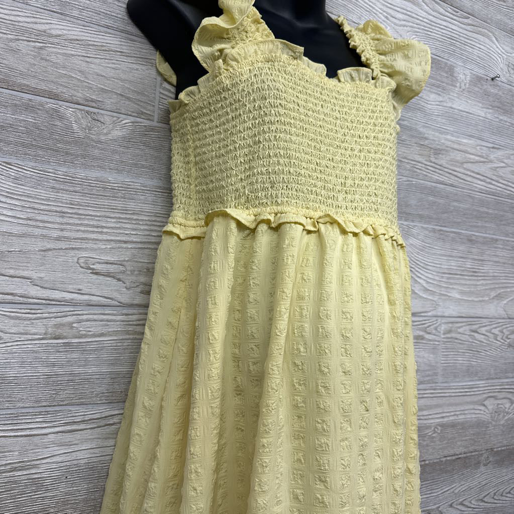Smocked Tank Textured Dress Large
