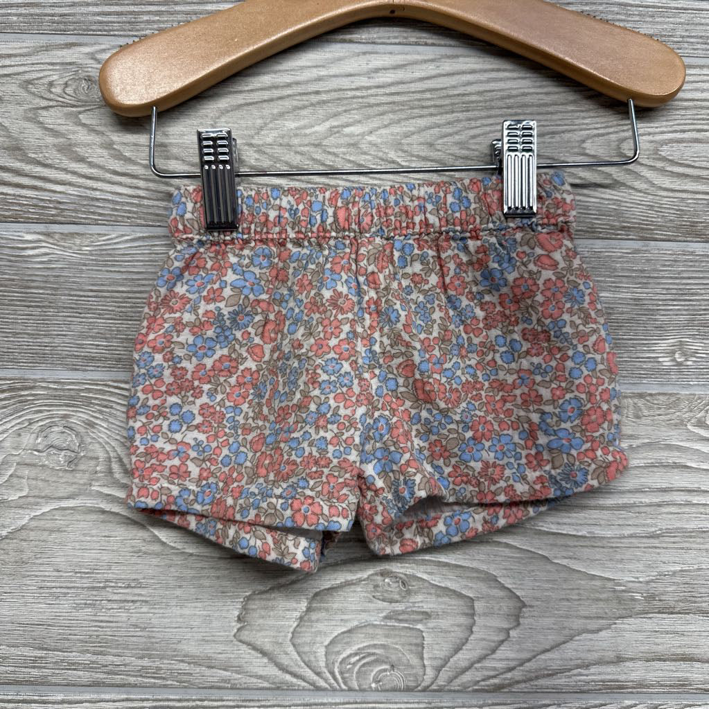 Organic Button Up Shirt & Shorts Flowers 6M