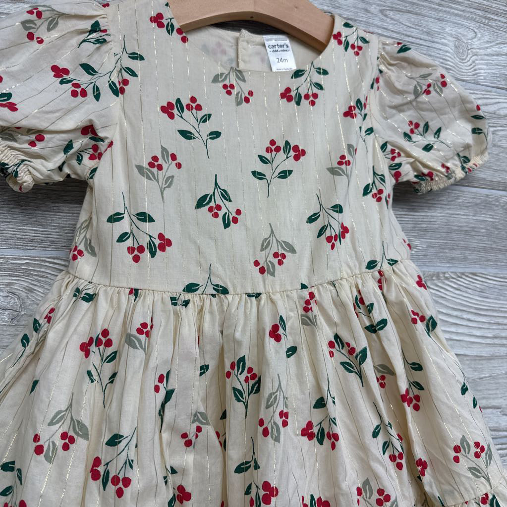 Dress & Bloomers Glitter Stripes Flowers 24M