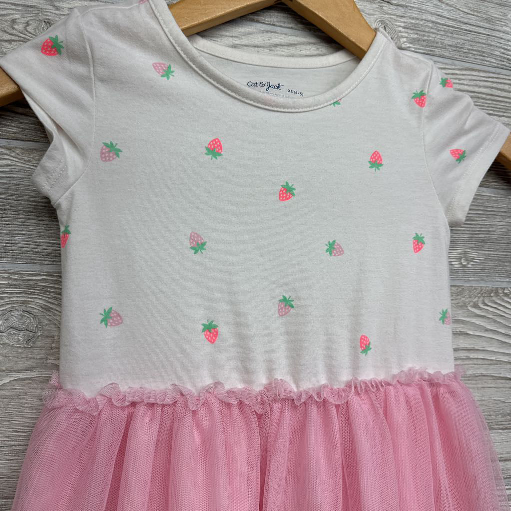 Strawberry Dress W/ Tulle Skirt 4-5