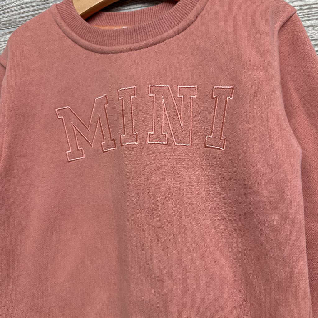 NEW Crewneck Embroidered Mini