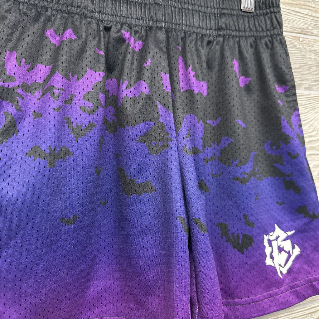 Gradient Bat Mesh Shorts 10
