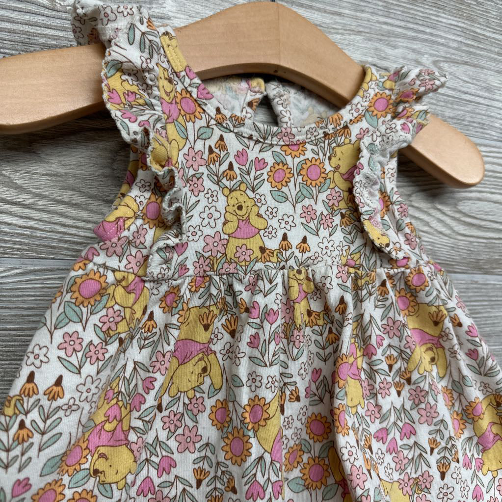 Bodysuit Dress Flowers & Winnie The Pooh 6M
