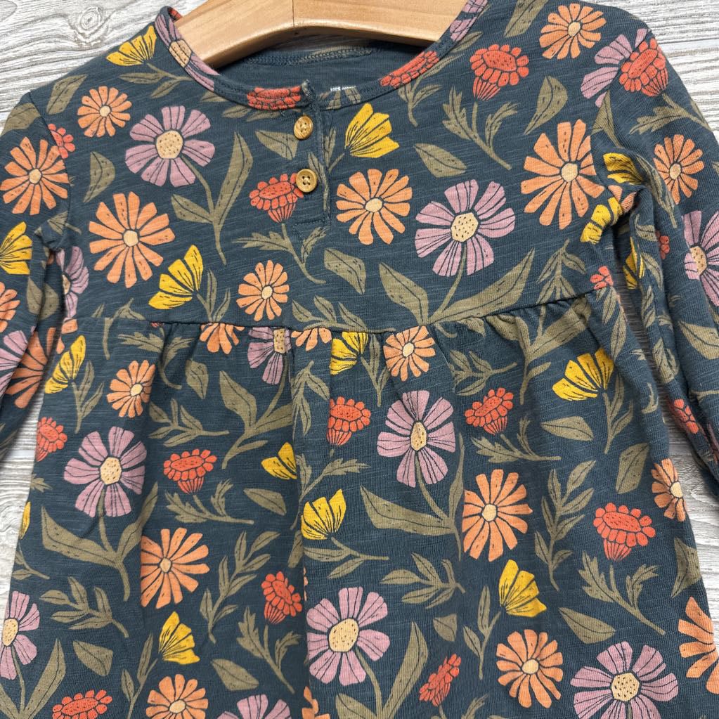 Organic LS Dress Flowers 12M