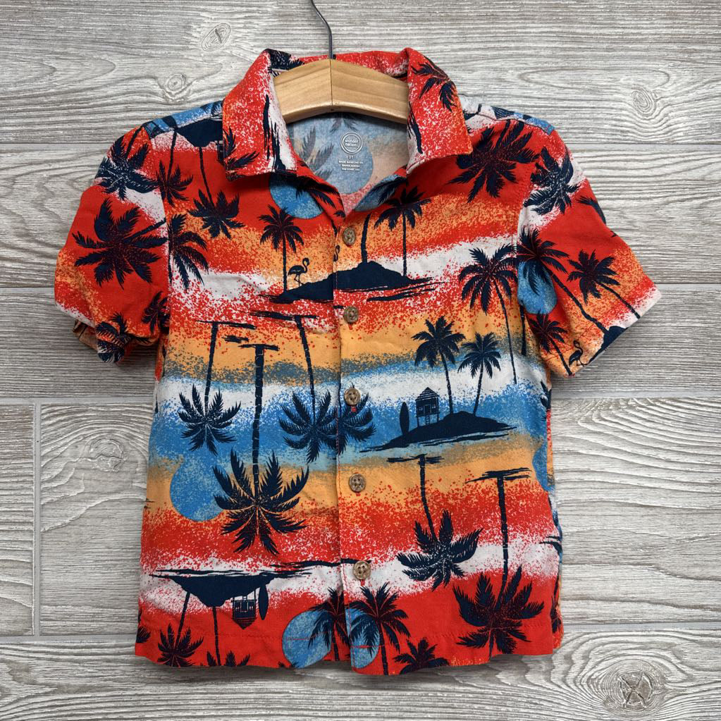 Button Up SS Shirt Palm Trees 3t