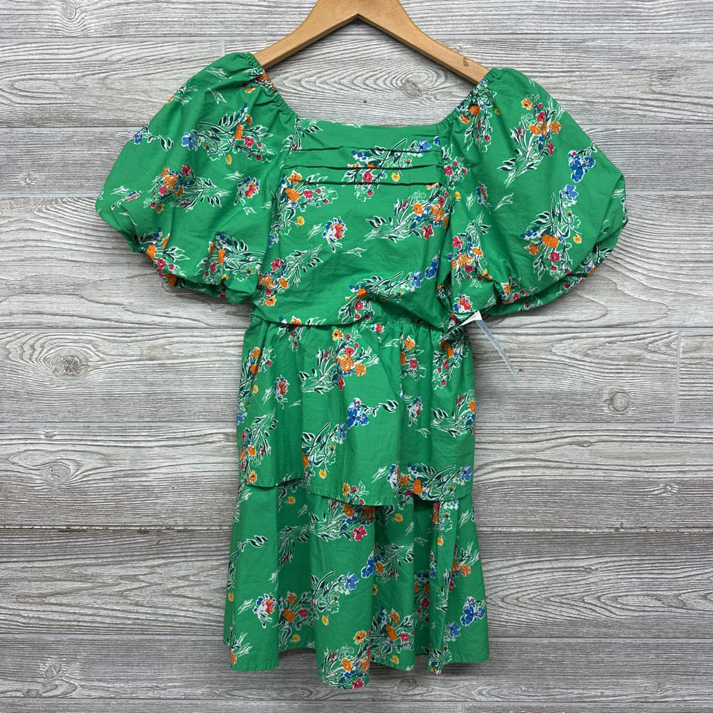NEW Dress Puff Sleeves Flowers
