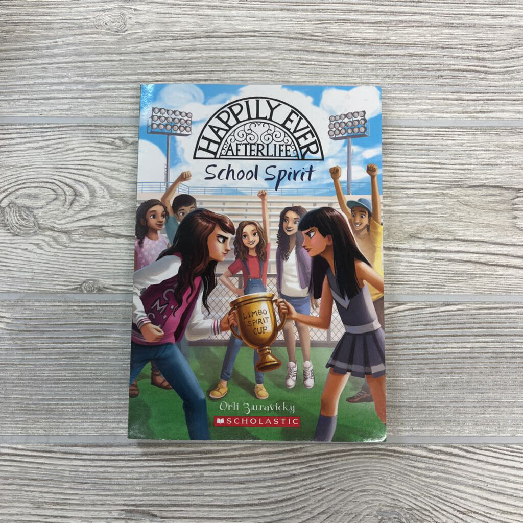 Book Happily Ever AfterLife School Spirit