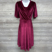 NEW Velour Nursing Dress