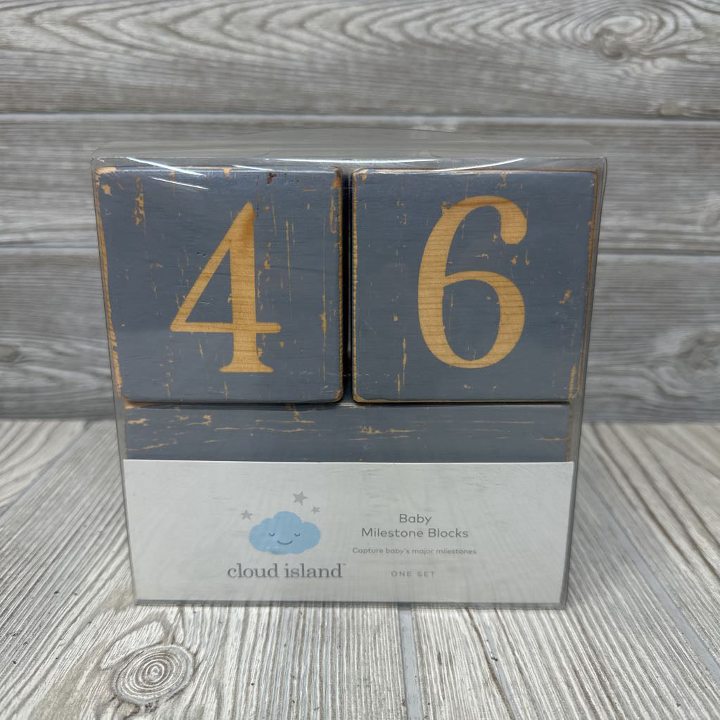NEW Baby Milestone Blocks
