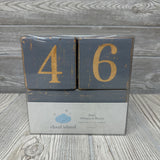 NEW Baby Milestone Blocks