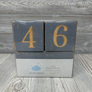 NEW Baby Milestone Blocks