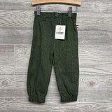 NEW 2 Pc Outfit Bears