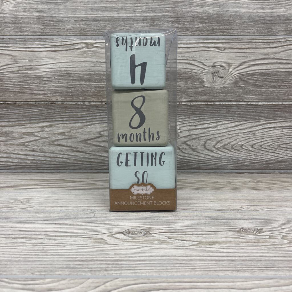 3 Pk Milestone Blocks