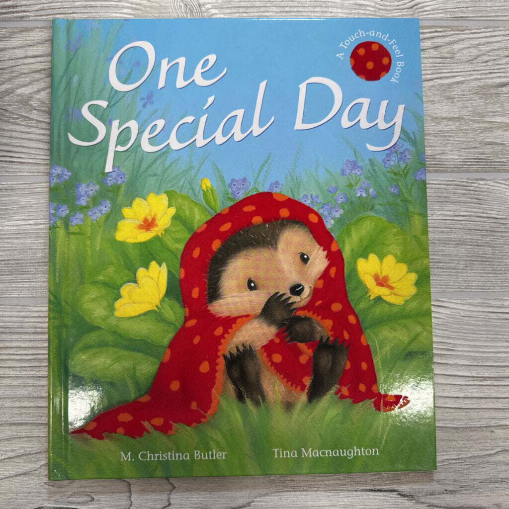 BOOK One Special Day