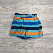 Swim Trunks Stripes
