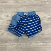 Swim Trunk Stripes W/ Swim Diaper
