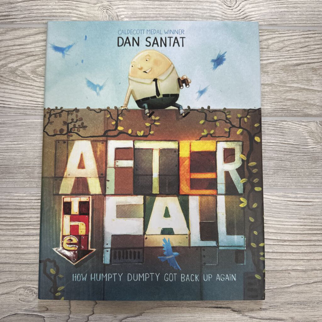 After The Fall Book