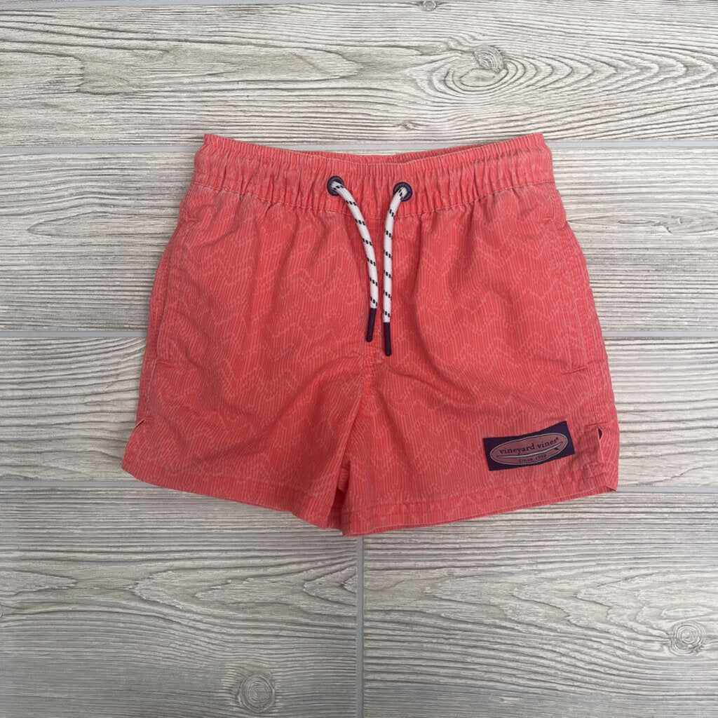 Drawstring Swim Trunks Chevron