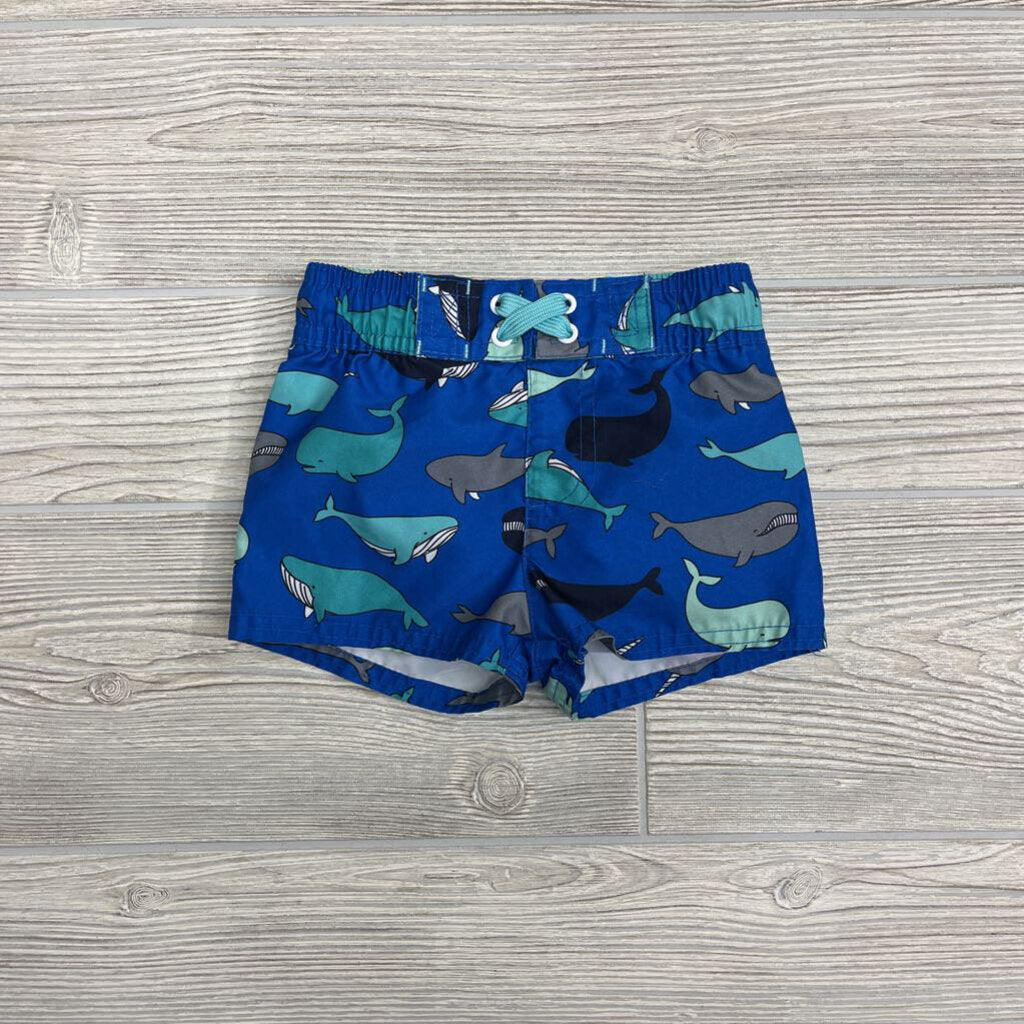 Swim Trunks Whales