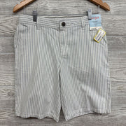 NEW Flat Front Shorts Stripes