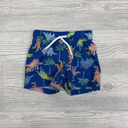 Drawstring Swim Trunks Dinosaurs