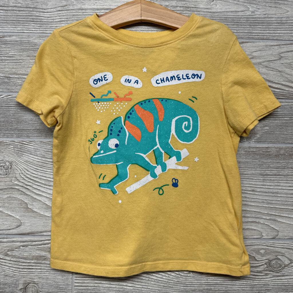 Shirt One In A Chameleon