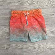 Swim Trunks Ombre