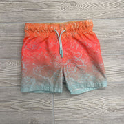Swim Trunks Ombre