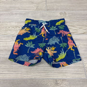 Drawstring Swim Trunks Dinosaurs Palm Trees